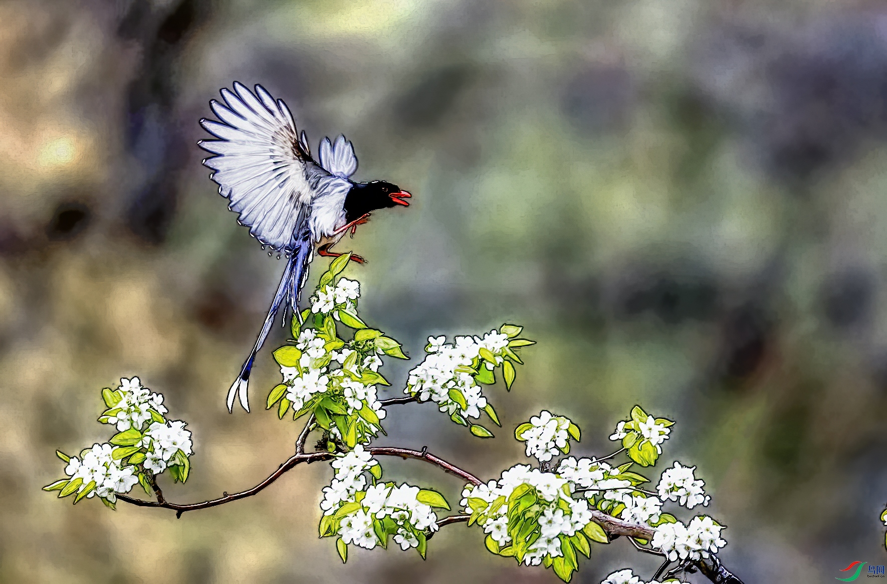 _C3I8128_����-1-2w.jpg