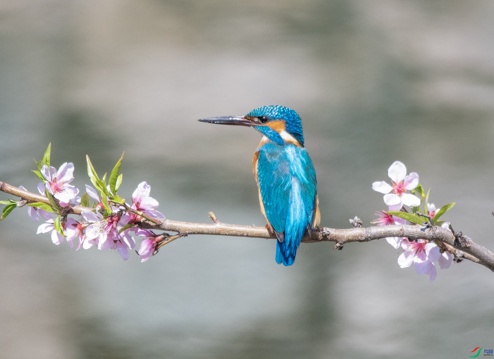 DSC_6690_��ͼ�� ����.jpg