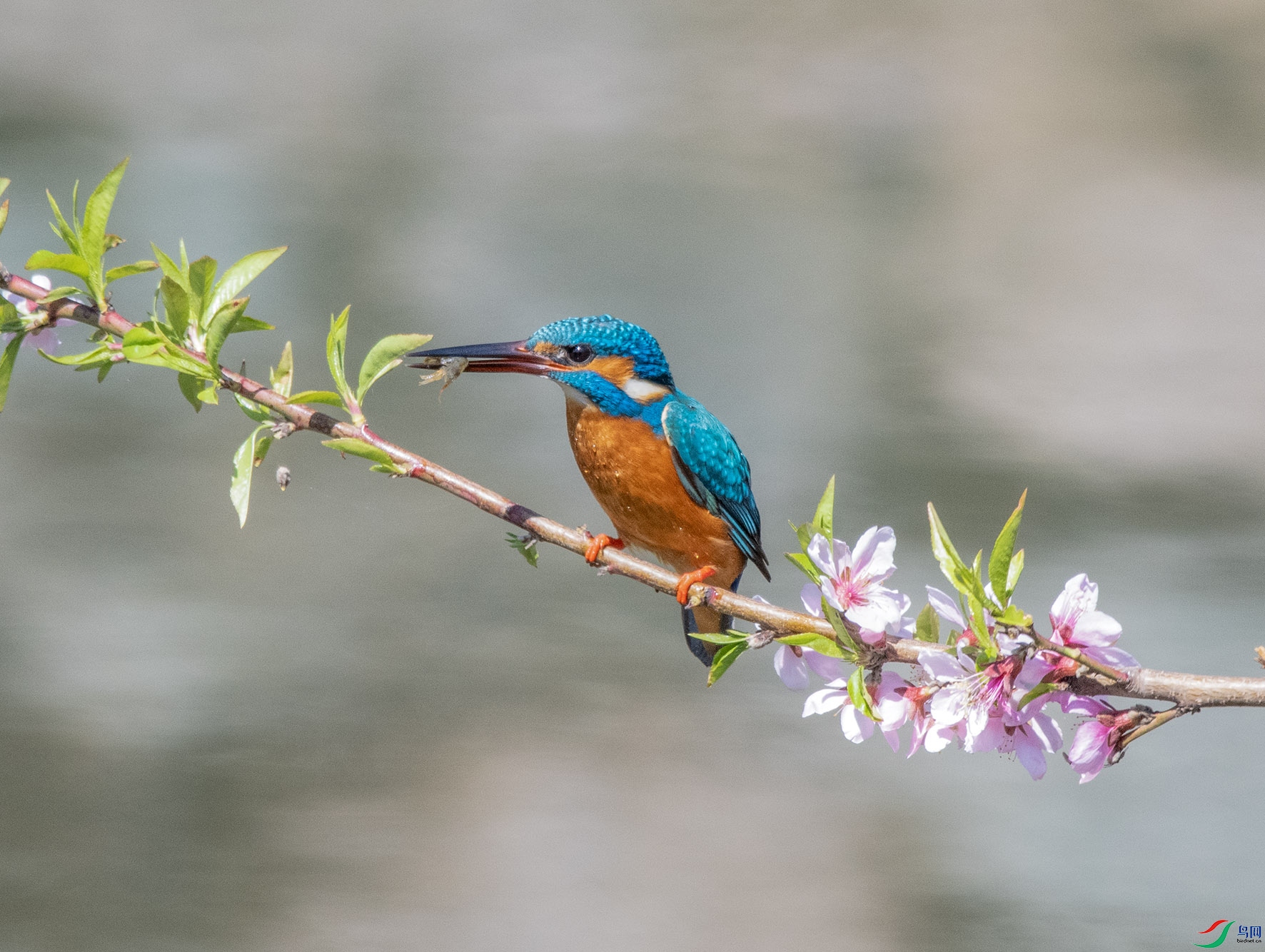 DSC_6716_��ͼ�� ����.jpg