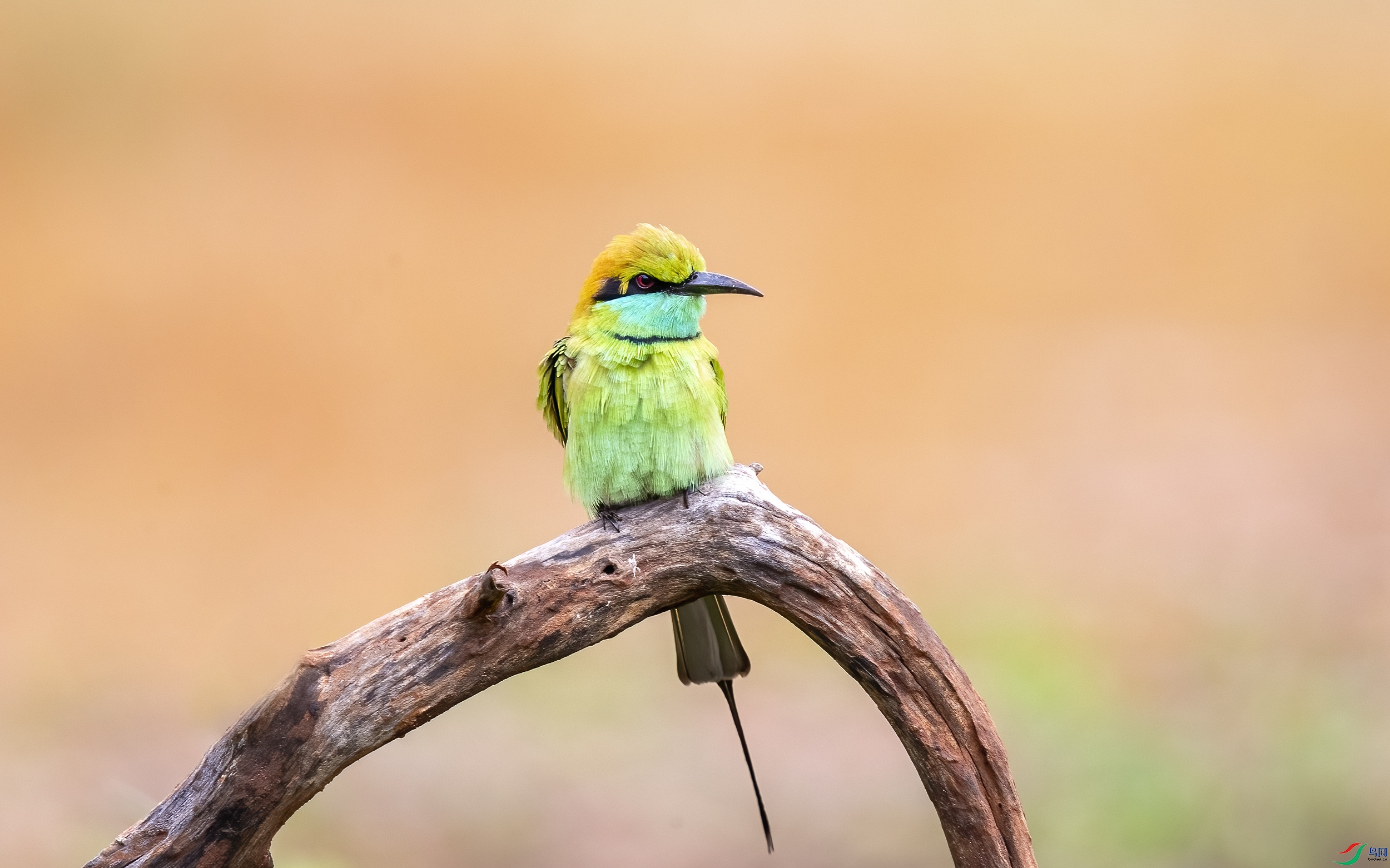 AC3I4447 ����.jpg