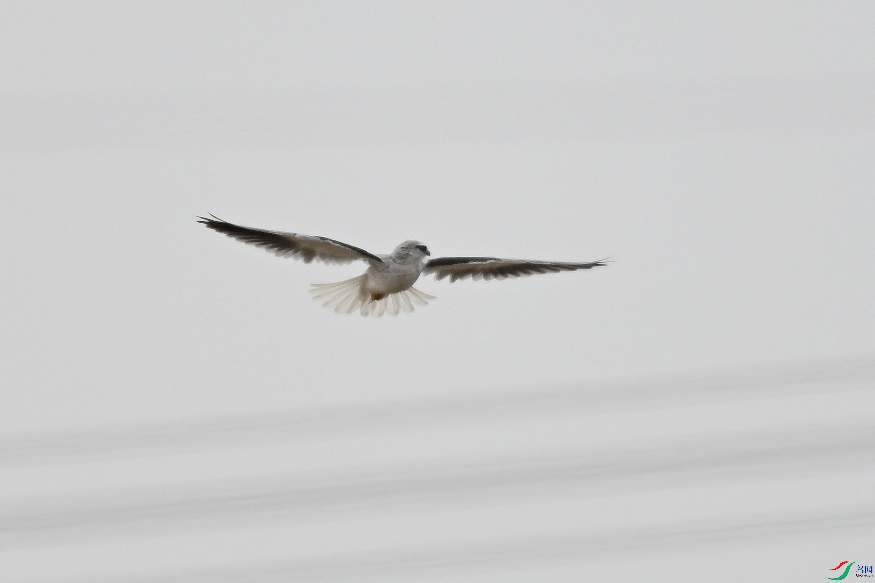 DSC_8001.JPG