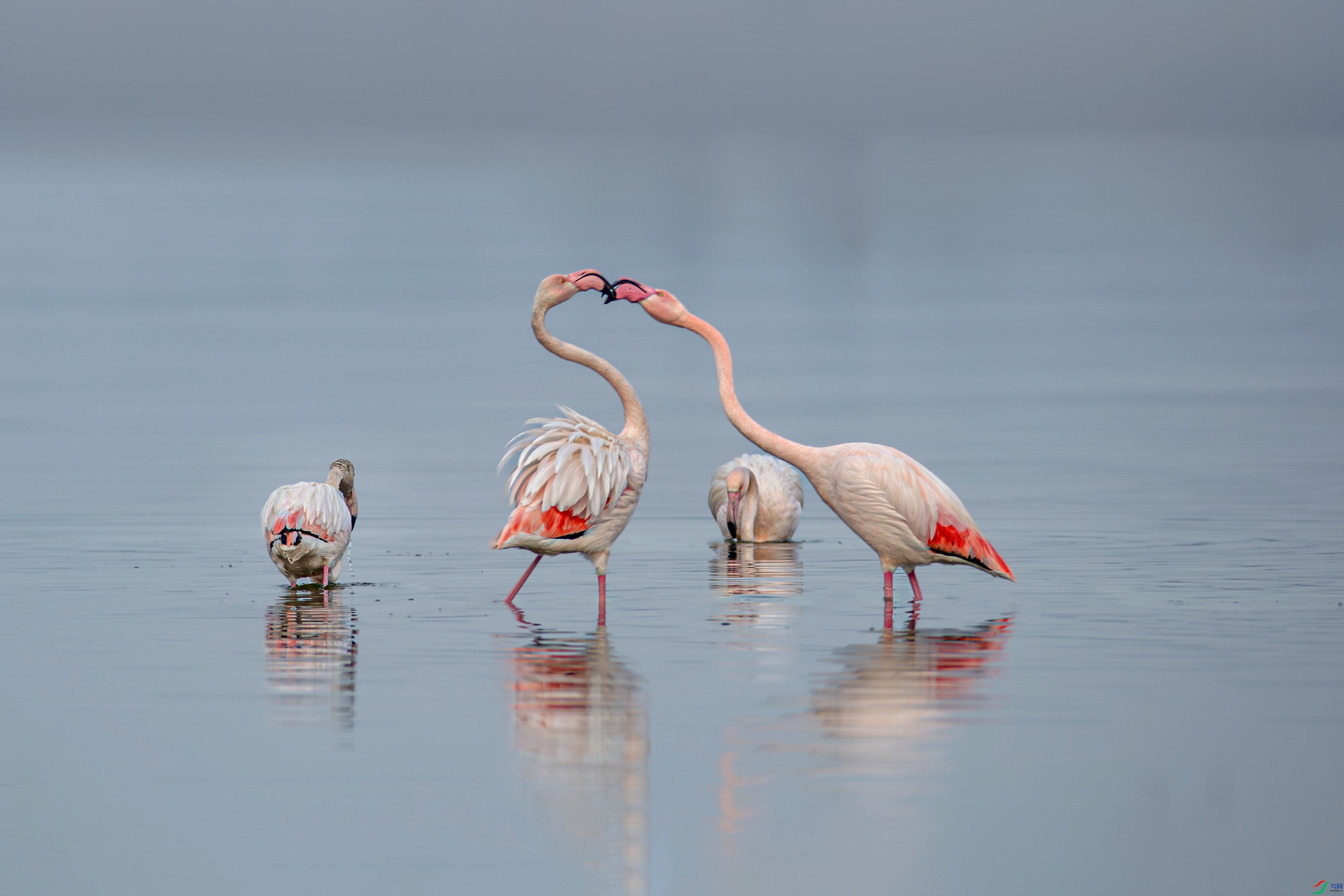 673A0156 ����.jpg