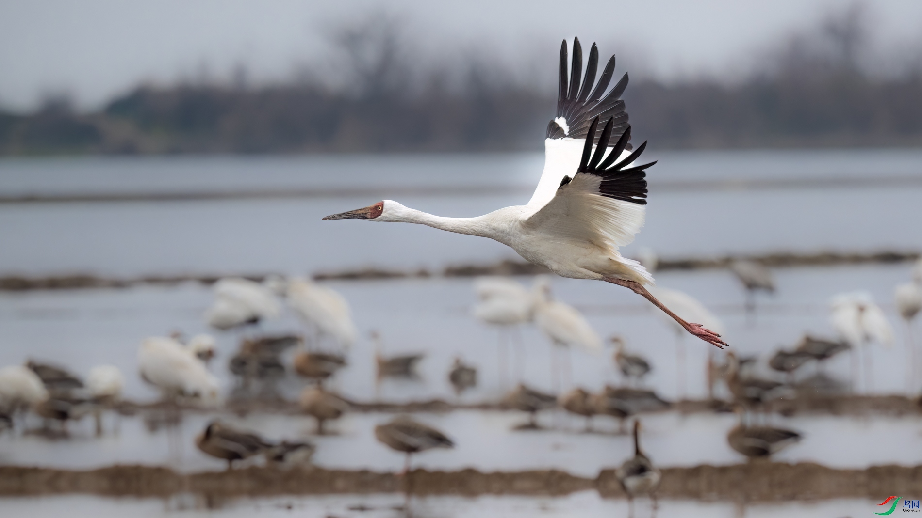 DSC_1619sen2026-2-27-153-�༭-3.jpg