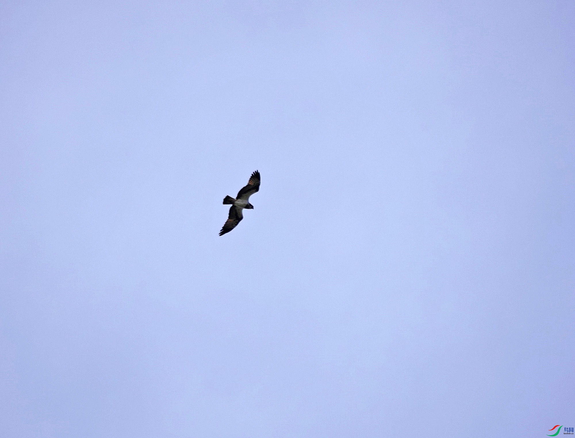 DSC06188.JPG