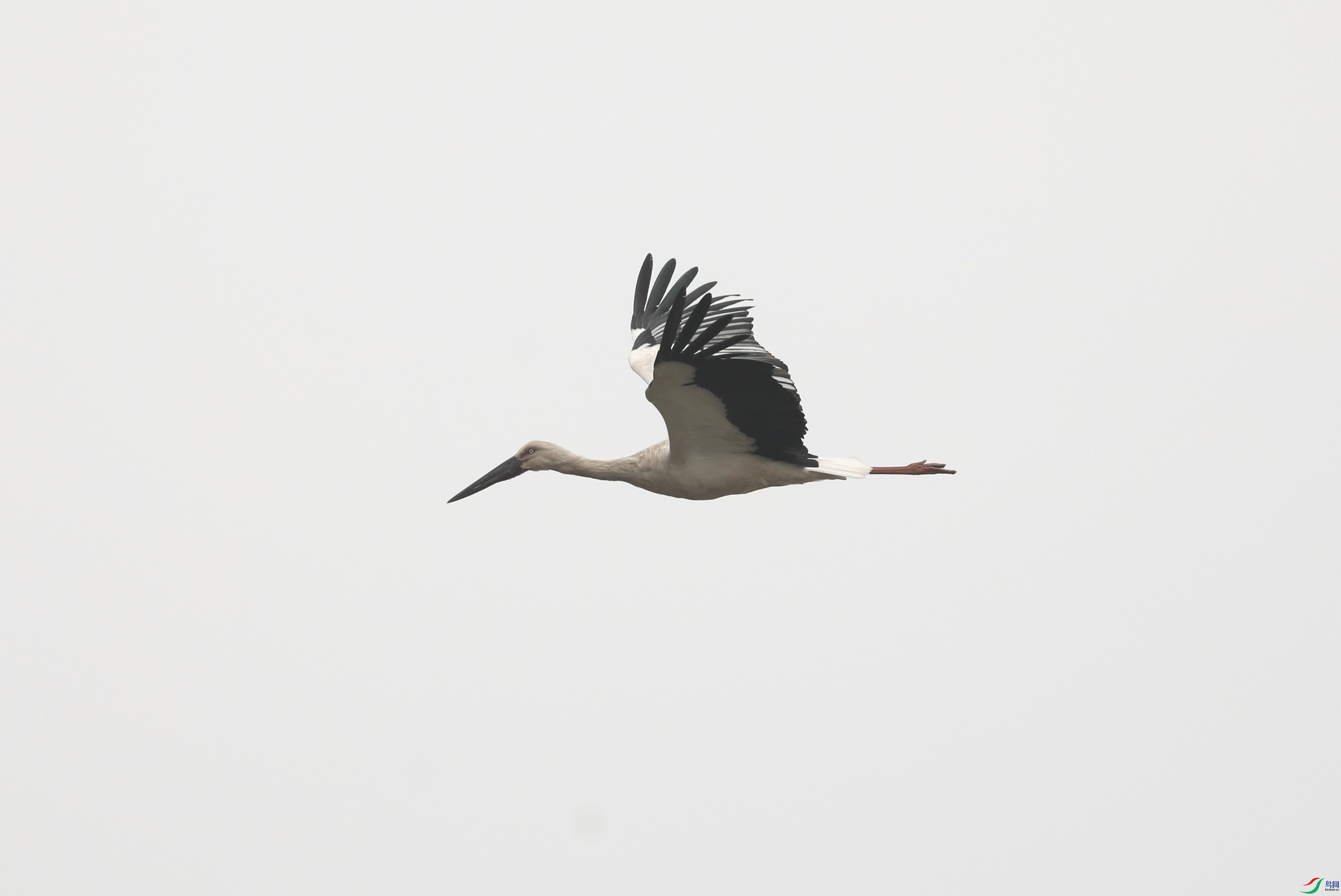 BL7A8498.JPG