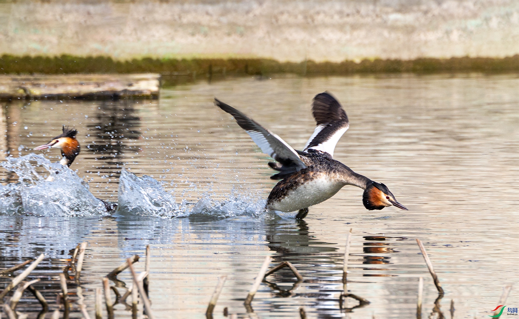 1G9A0795 ���� 2.jpg