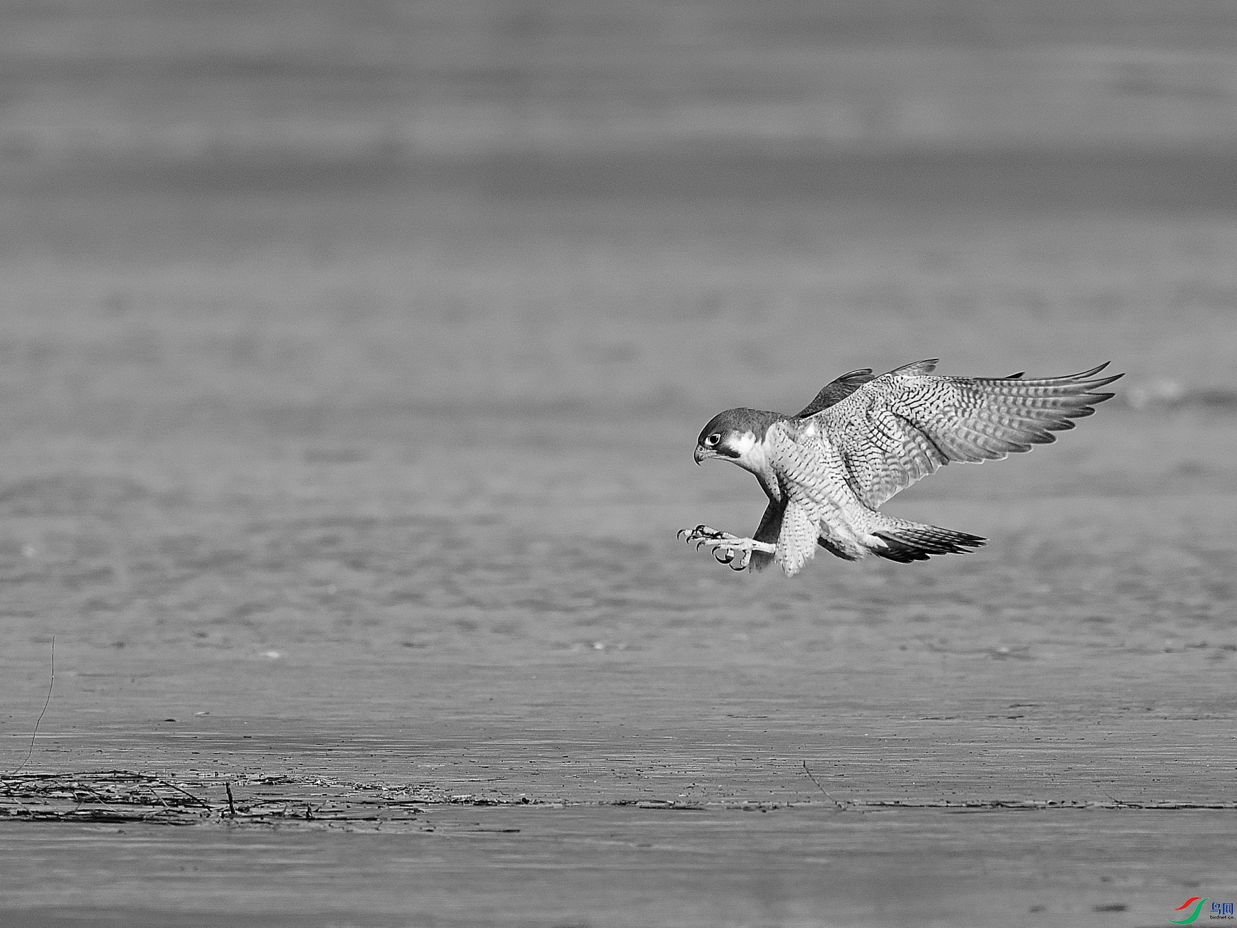 DSC_5080.JPG