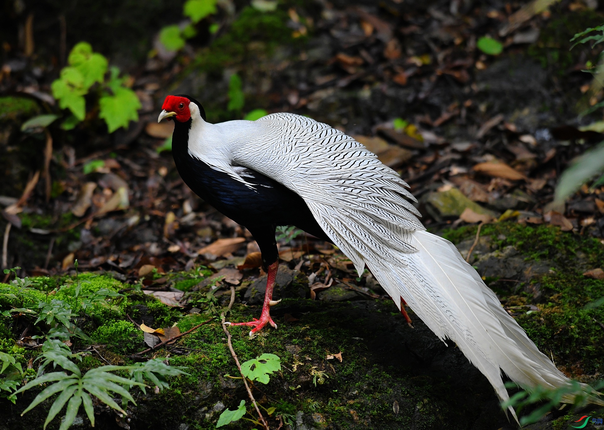 DSC_4164.jpg