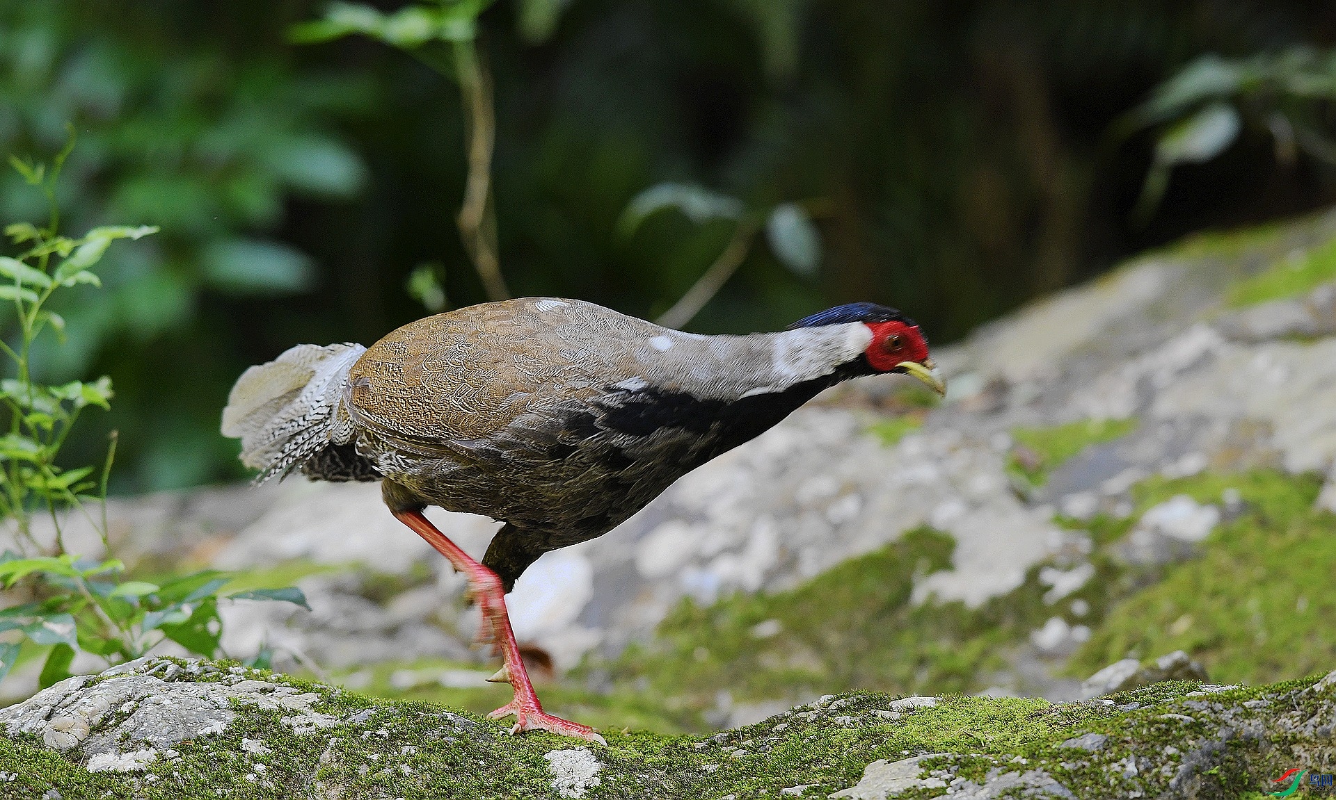DSC_3303.jpg