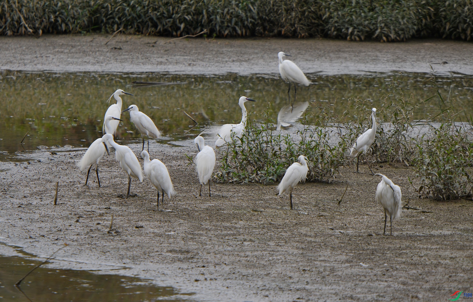 DSC_5038.jpg