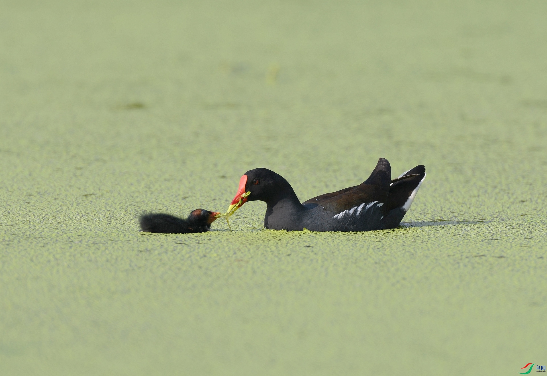 DSC_2800.jpg