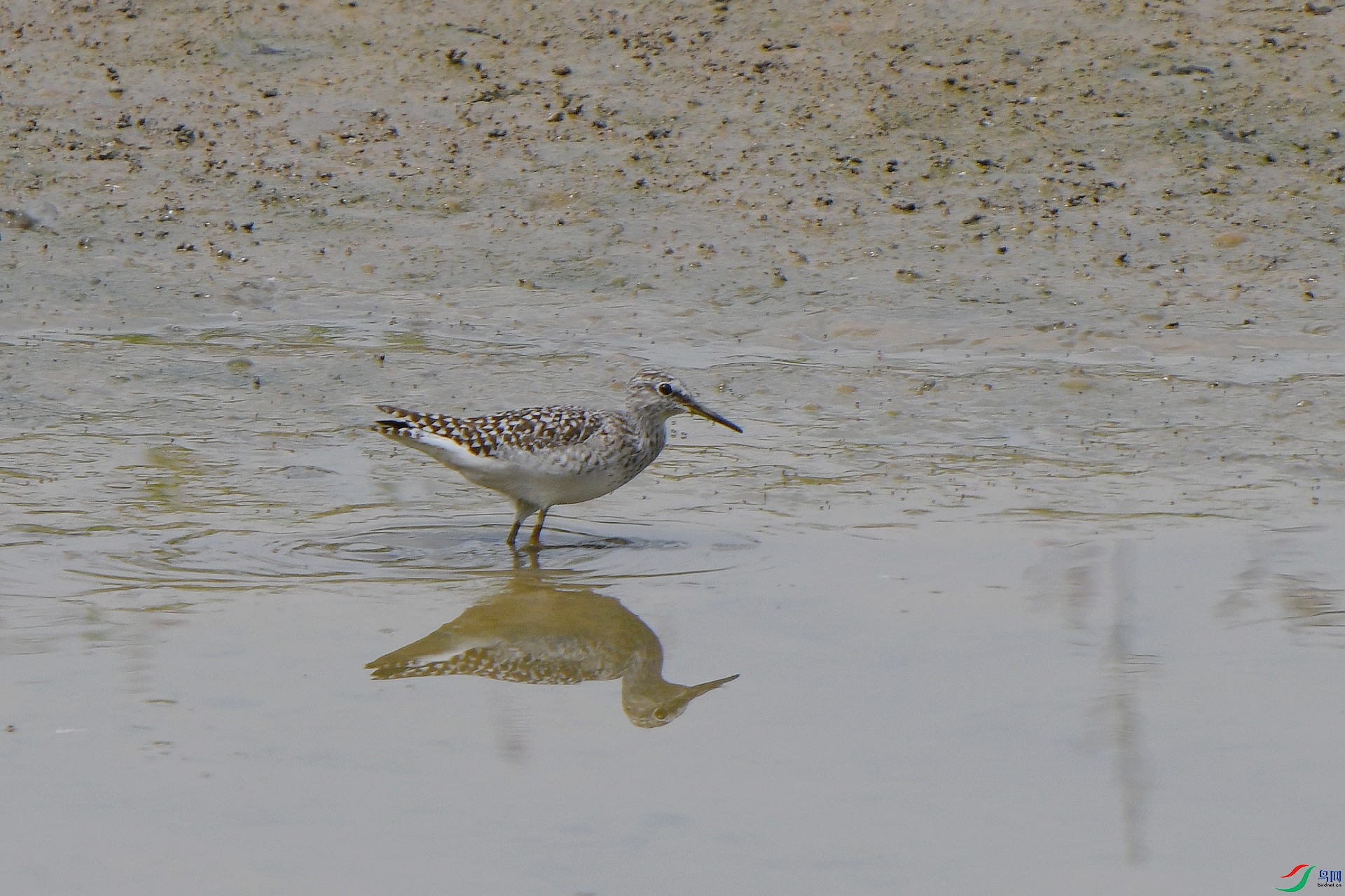 DSC_5119.jpg