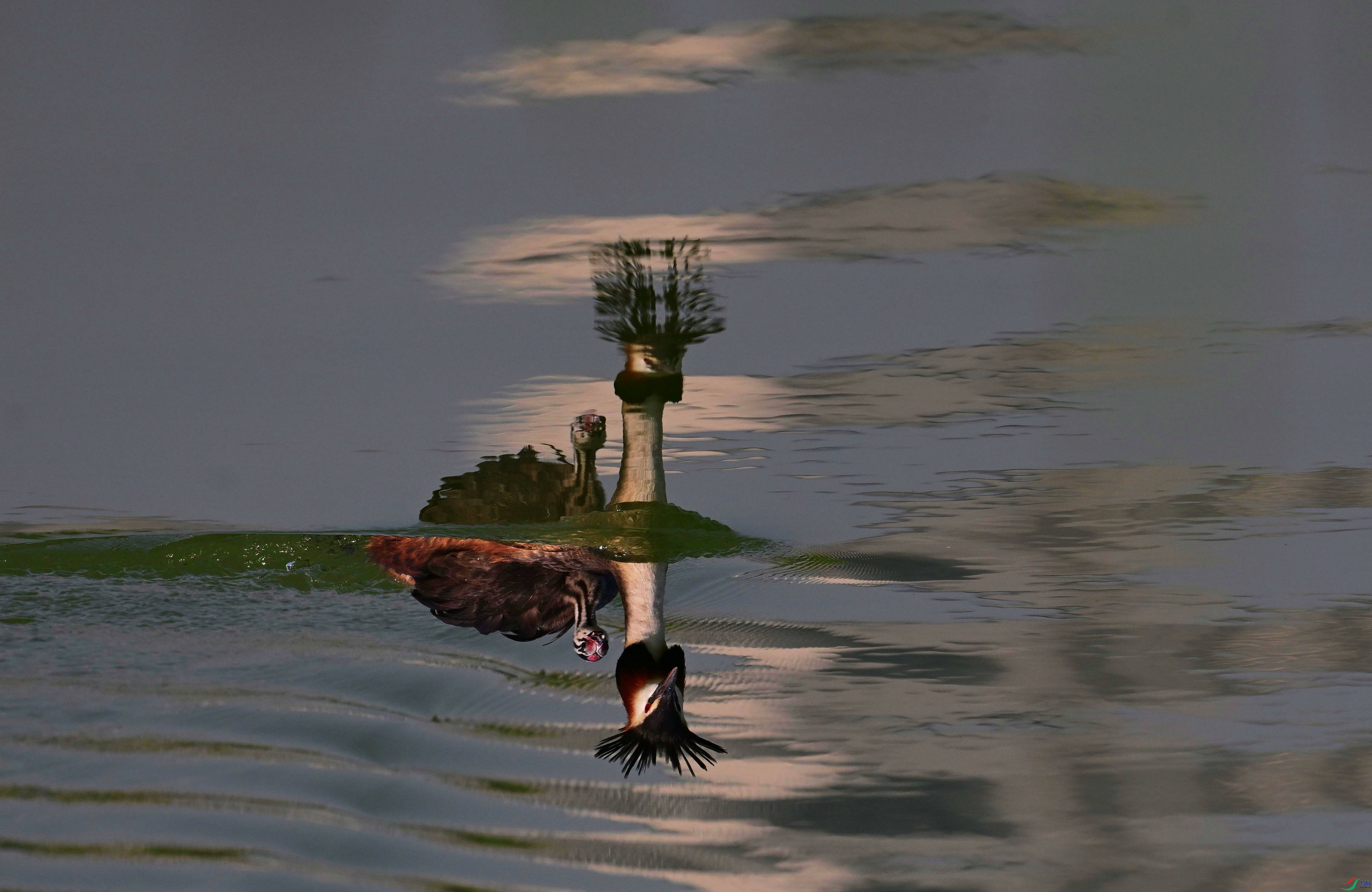 DSC_0397_��ͼ��_����.jpg