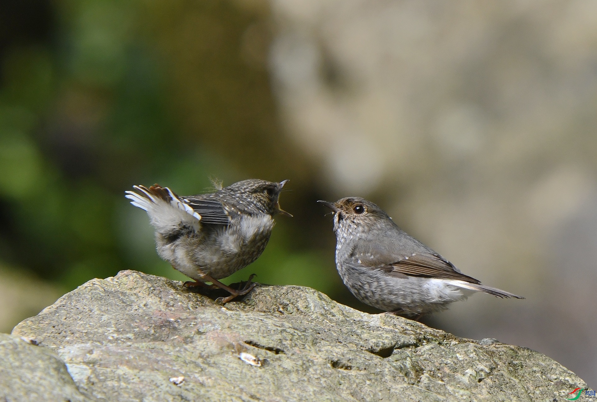 DSC_7728.jpg