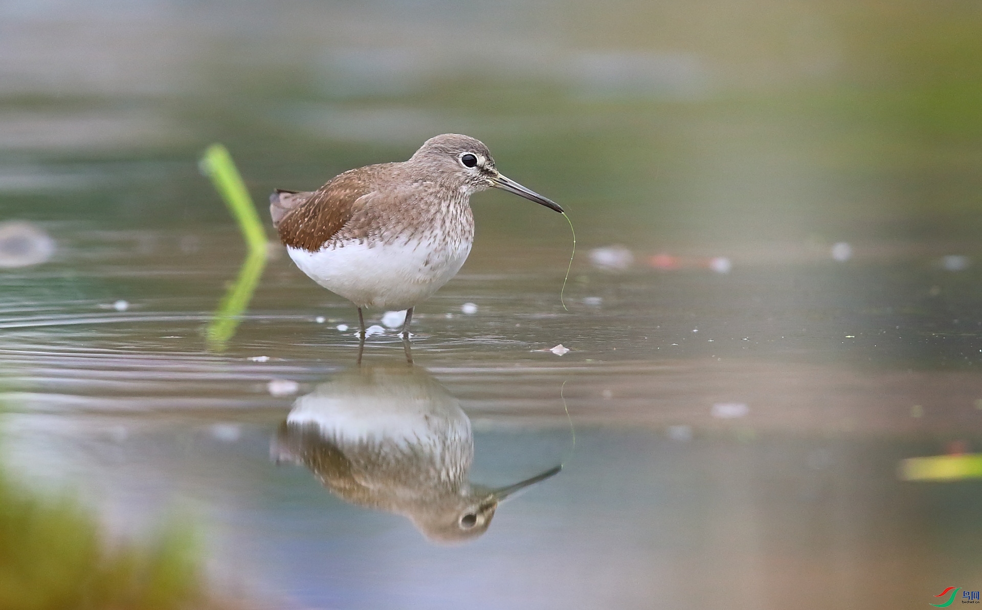 CB9V1150 ���.JPG