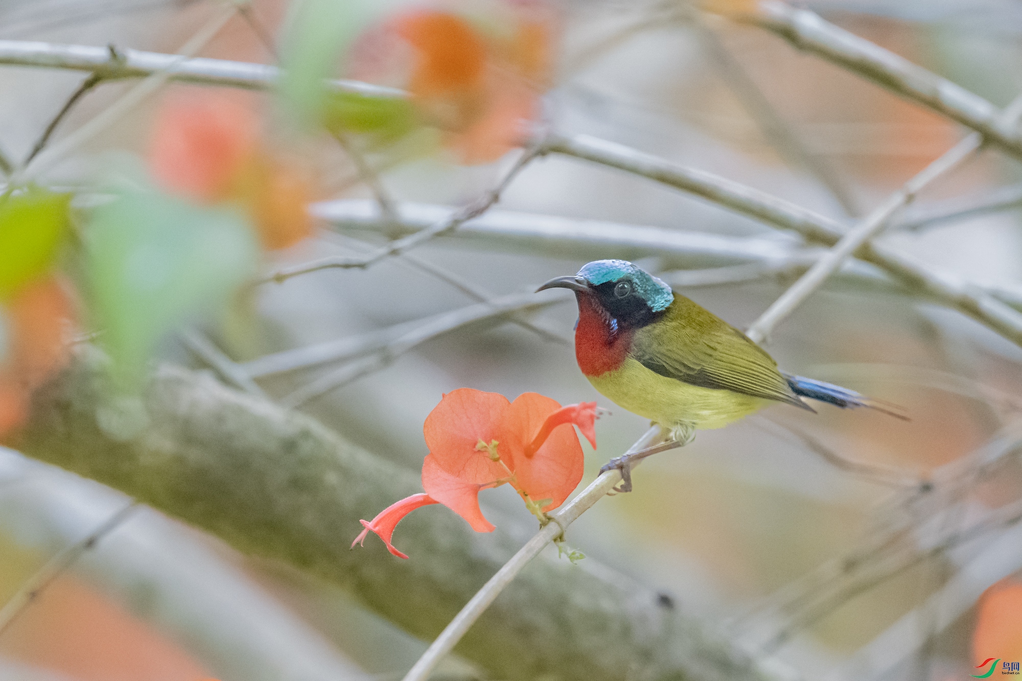 DSC_1774.jpg