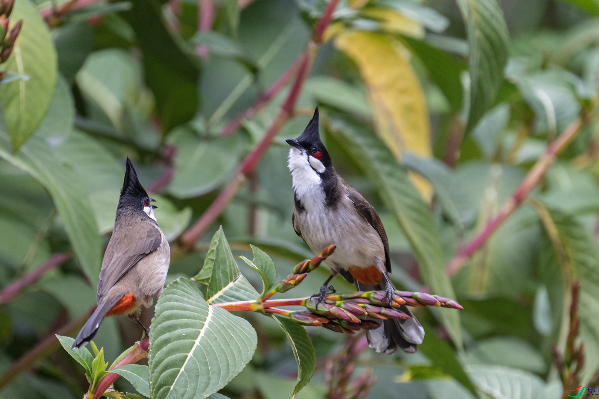 DSC_8492.jpg
