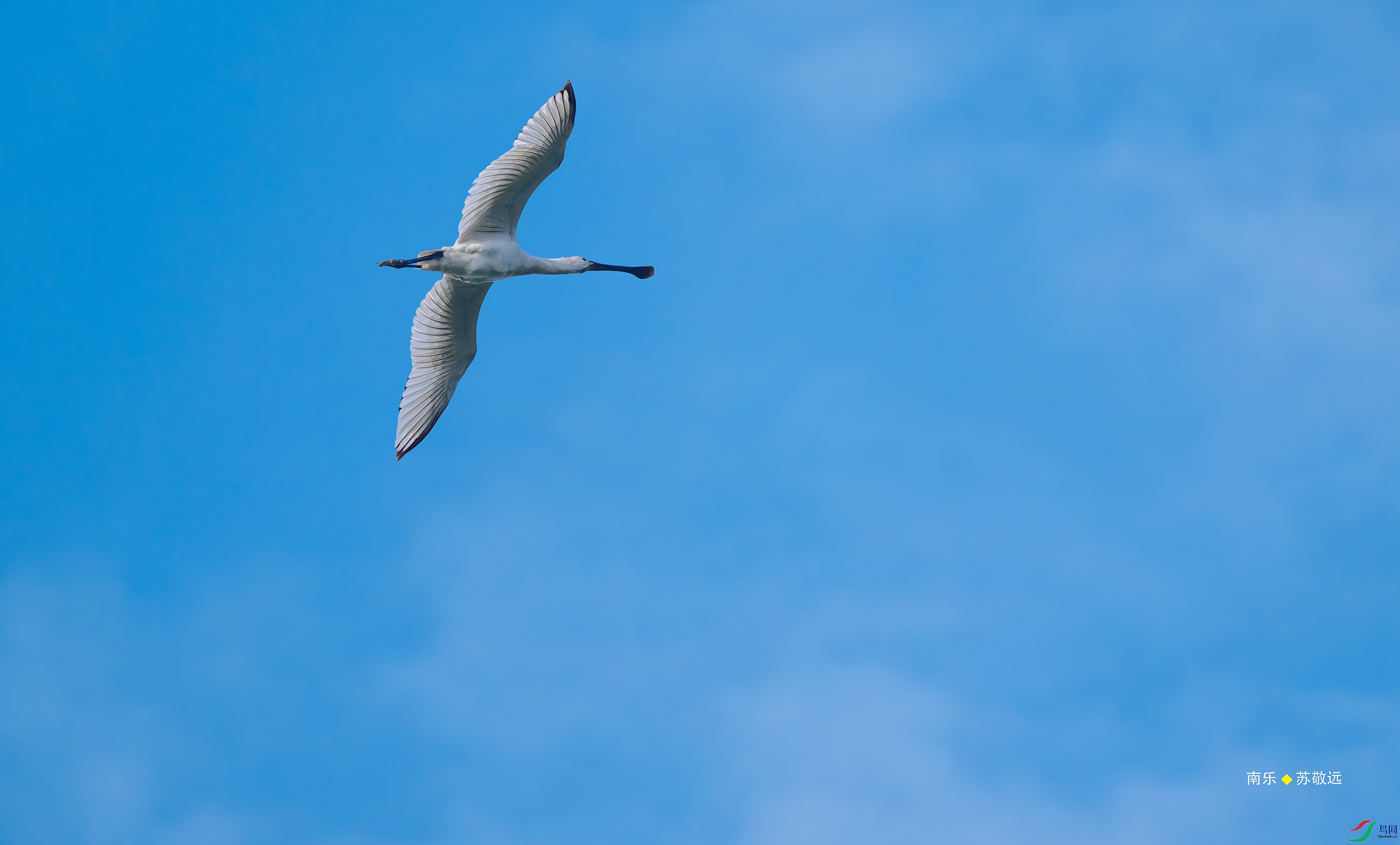 _DSC0409-DxO_С.jpg