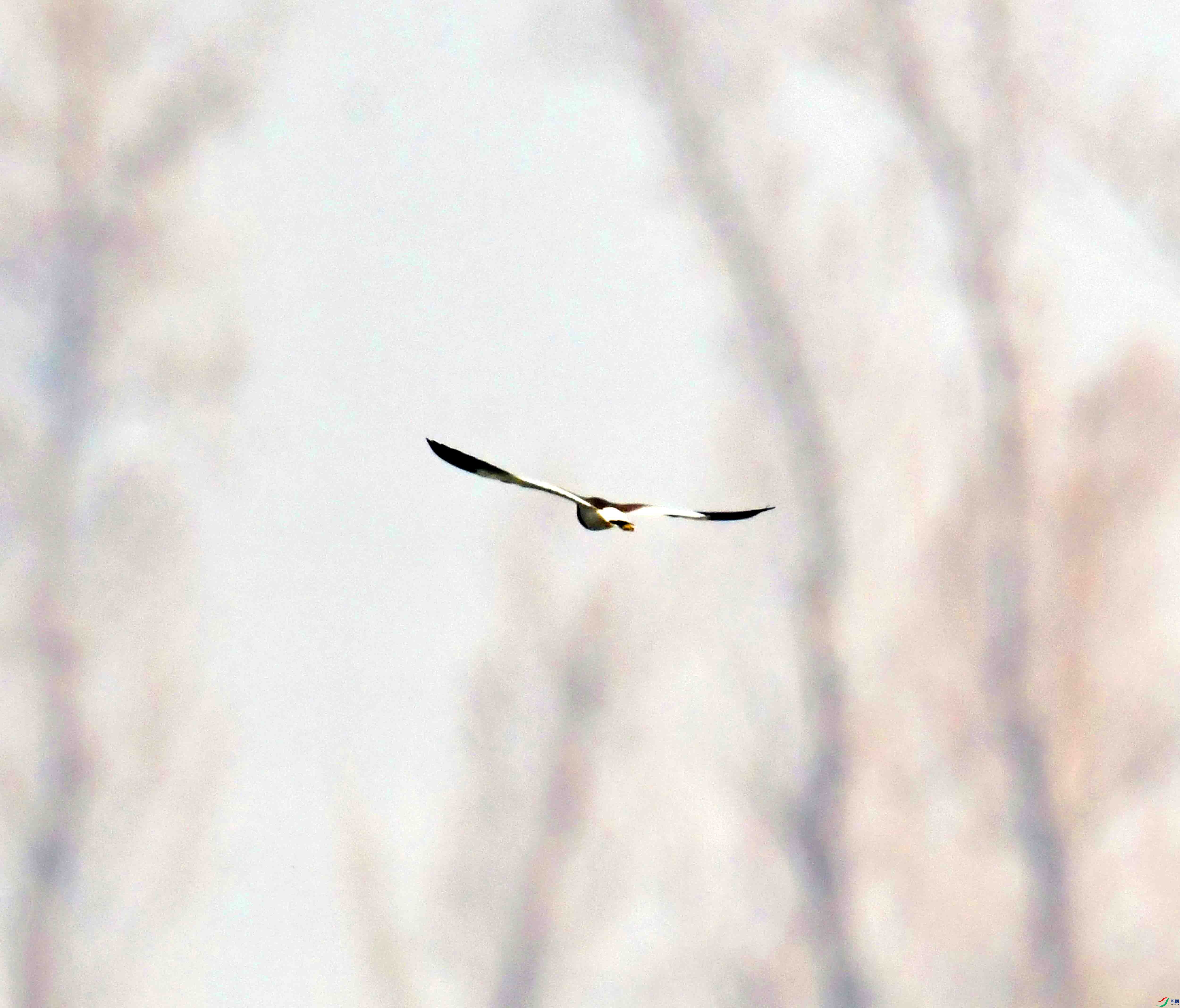 DSC_8583.JPG