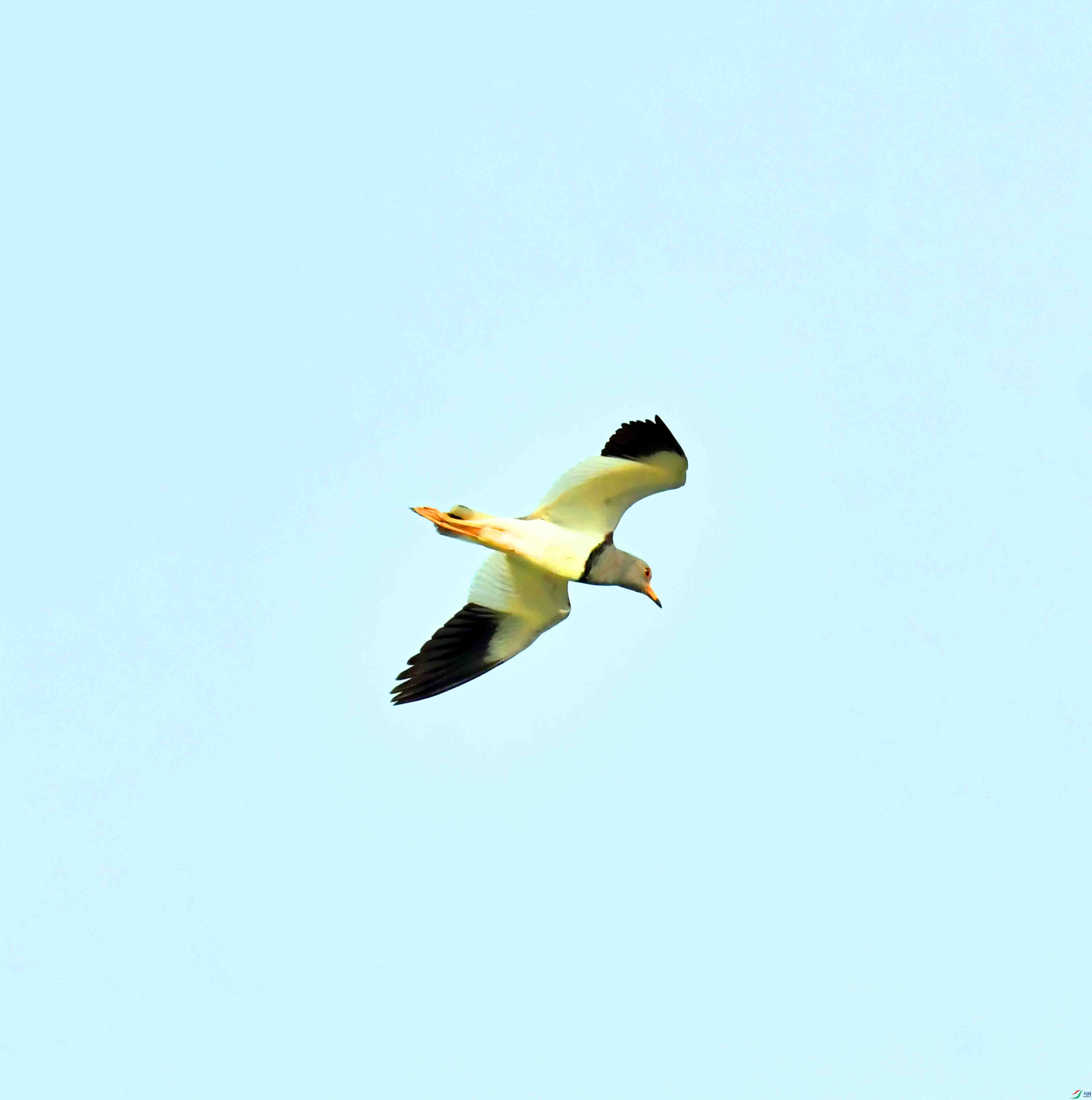 DSC_9674.JPG