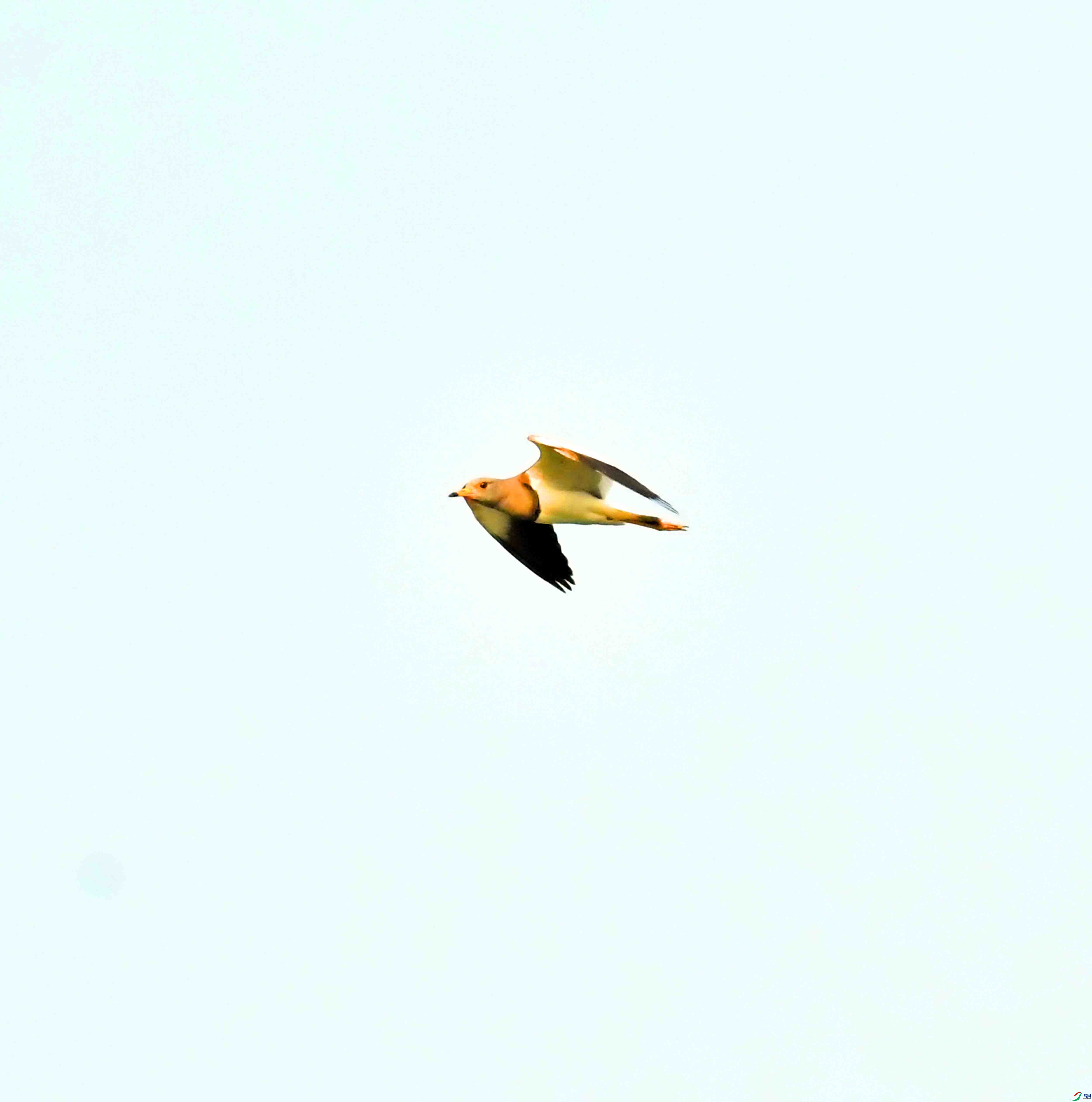 DSC_9697.JPG