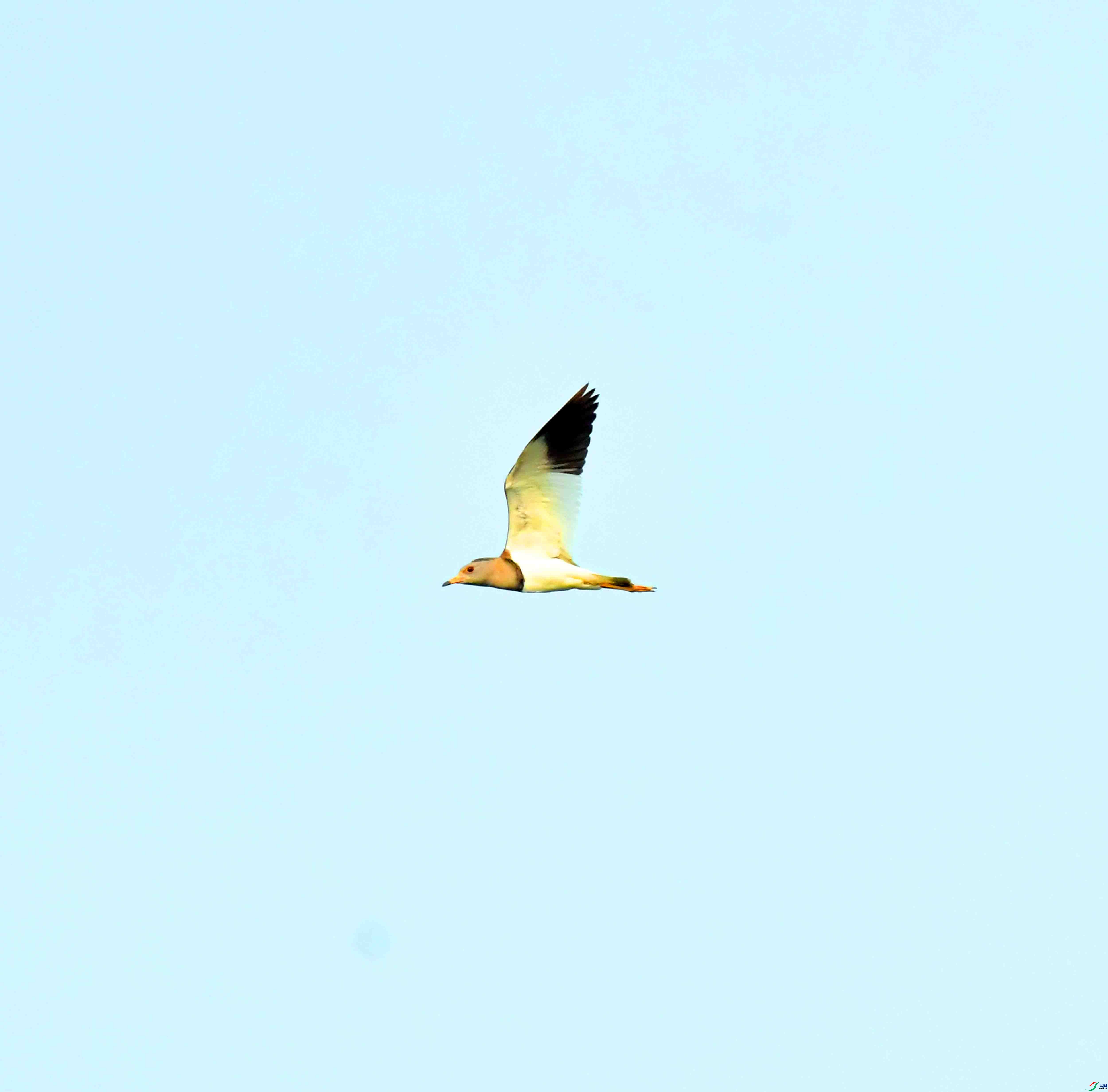 DSC_9701.JPG