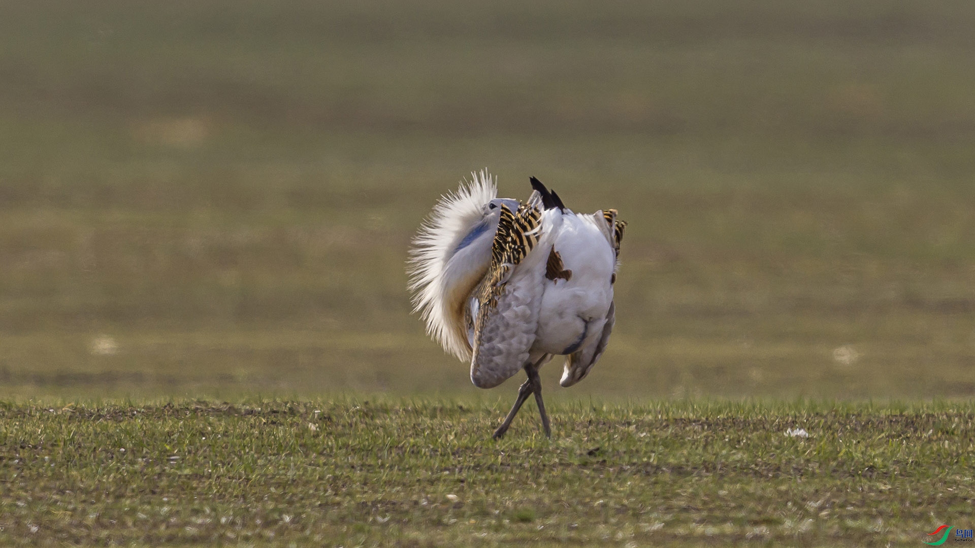 051A7490 ����n.jpg