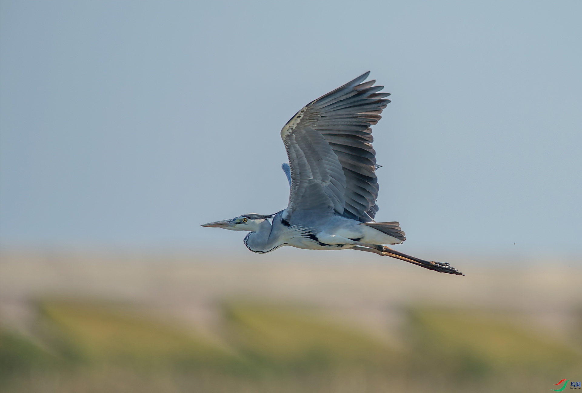 _DSC3090-1.jpg