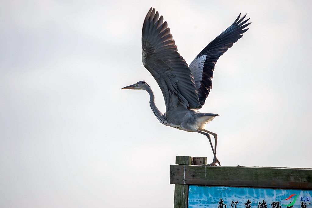 _DSC6090a.jpg