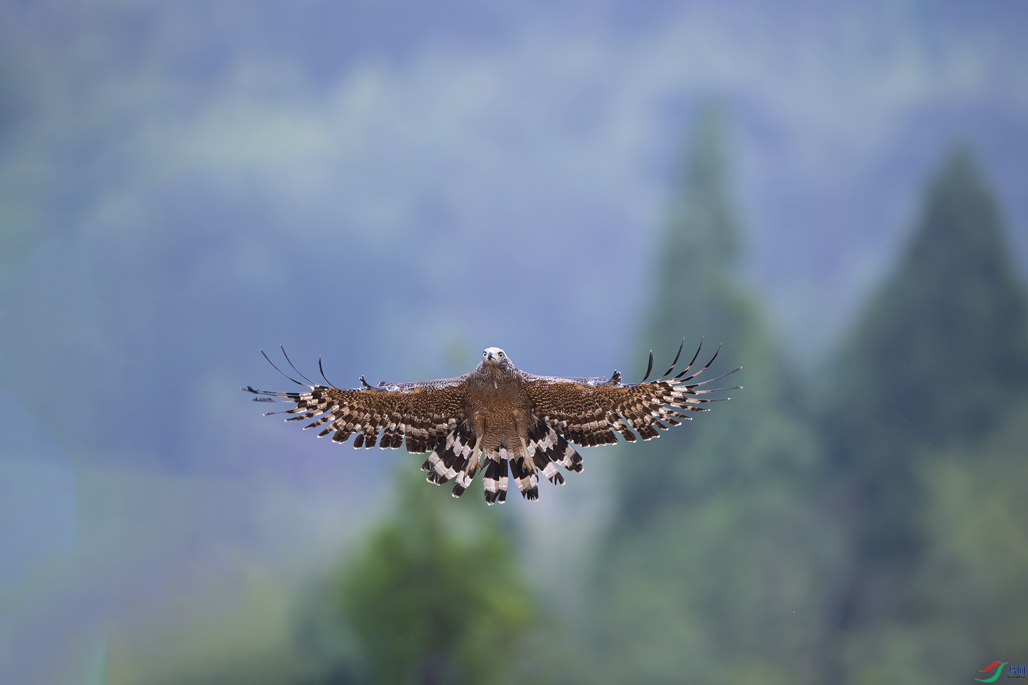 DSC_7714-����ǿ-NR ���� 2.jpg