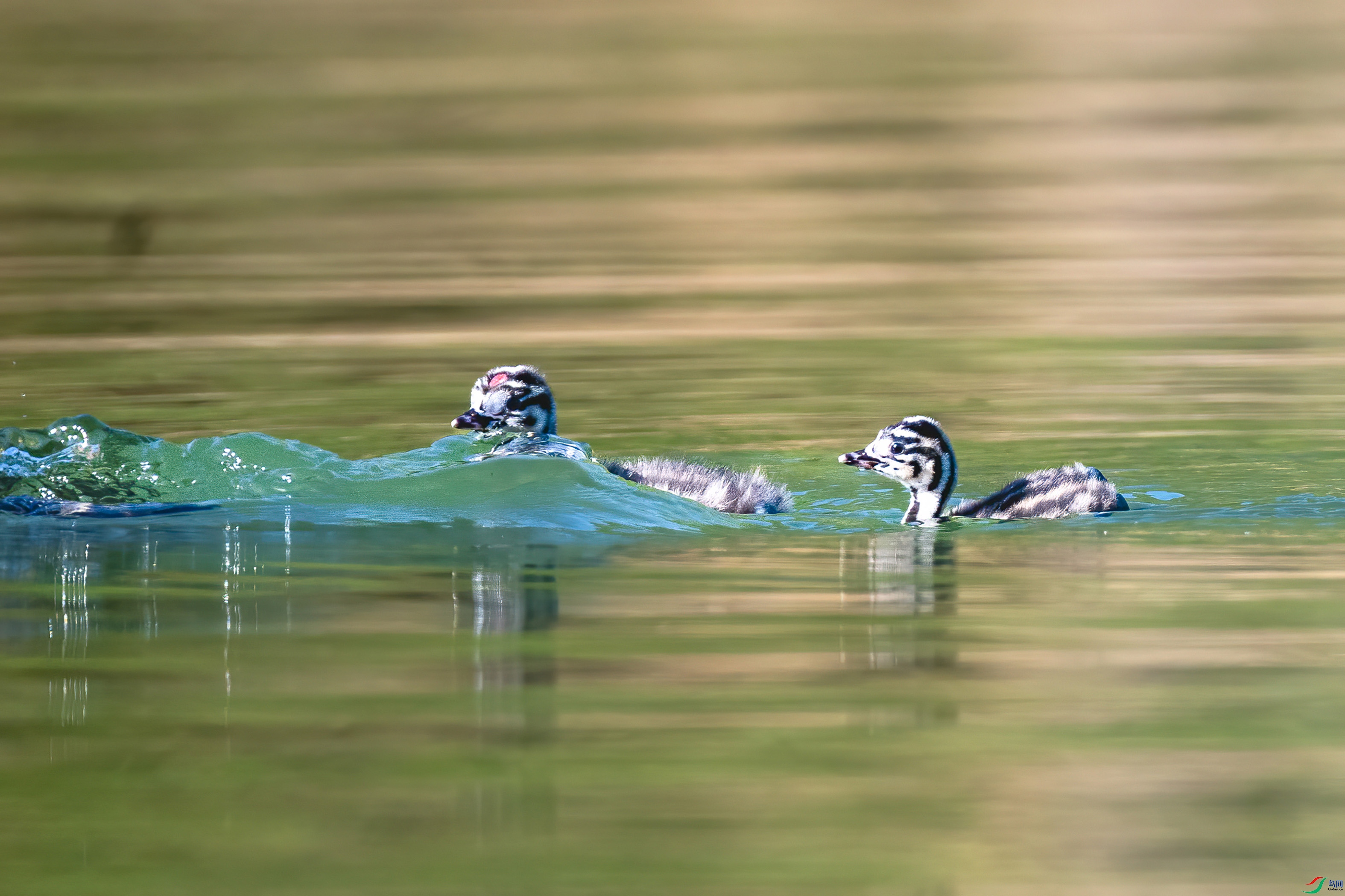 DSC_5713.jpg