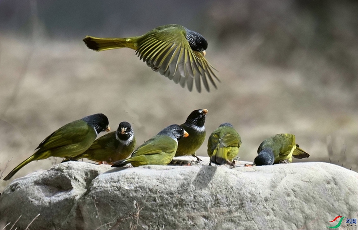 ���괺���硣