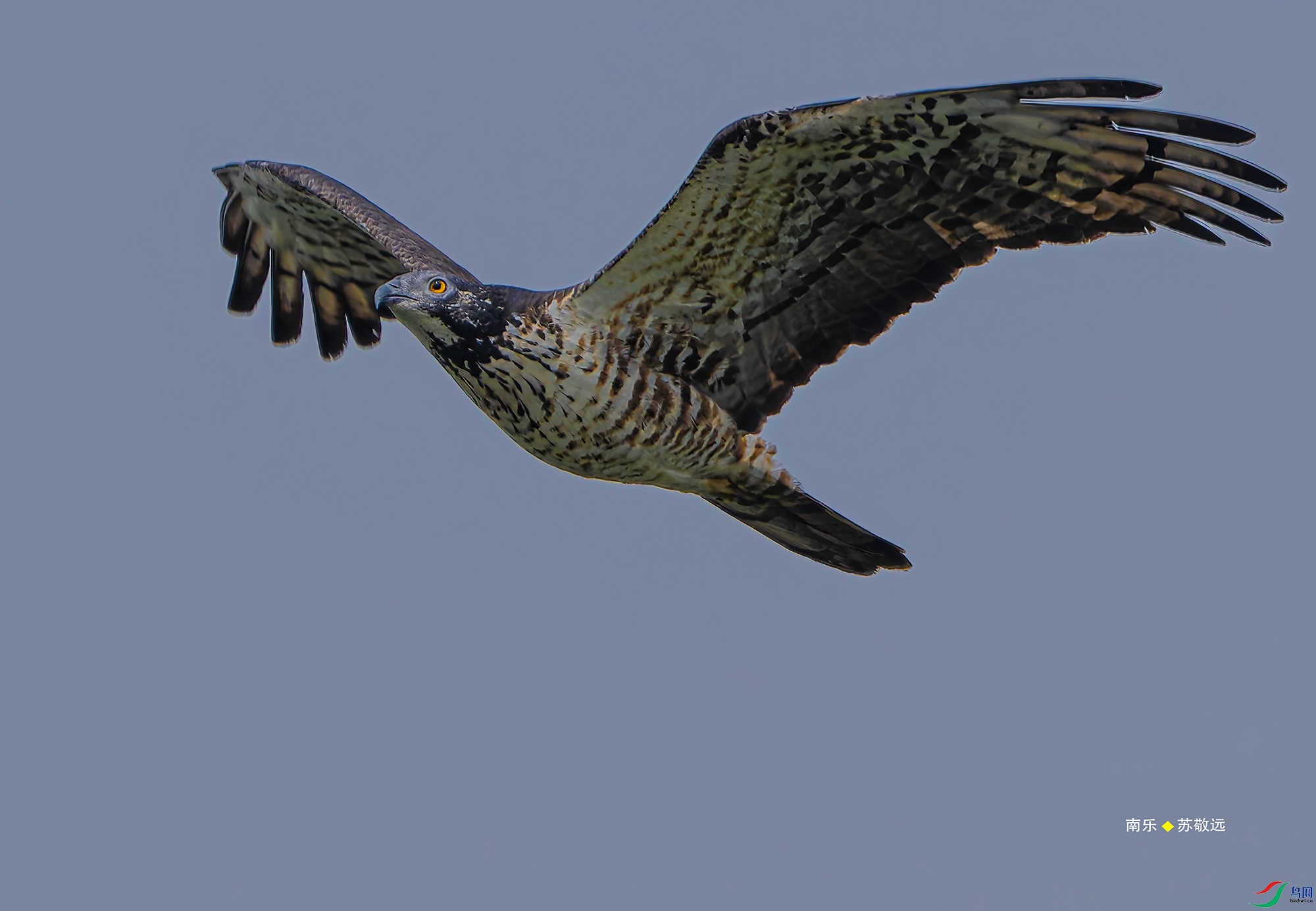 20250505-_DSC3647С.jpg