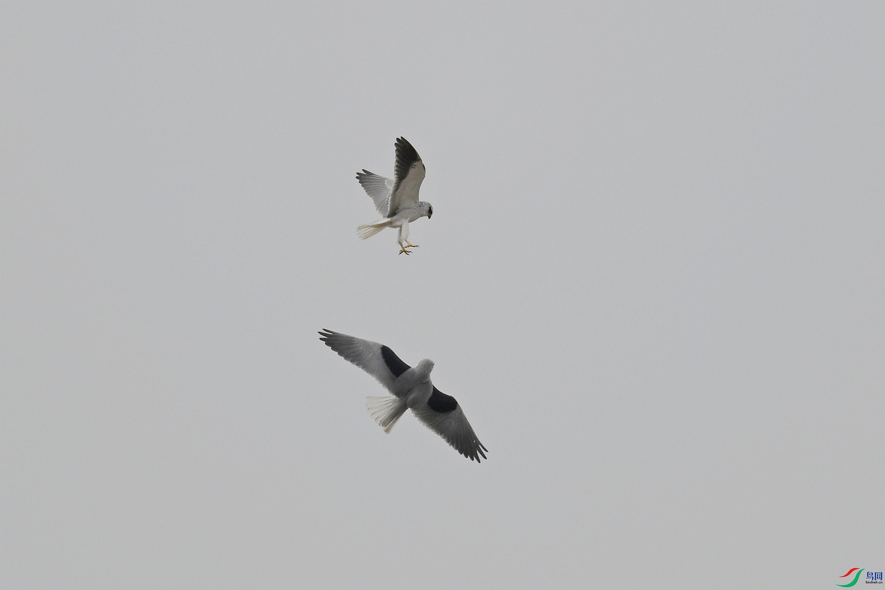 DSC_8106.JPG
