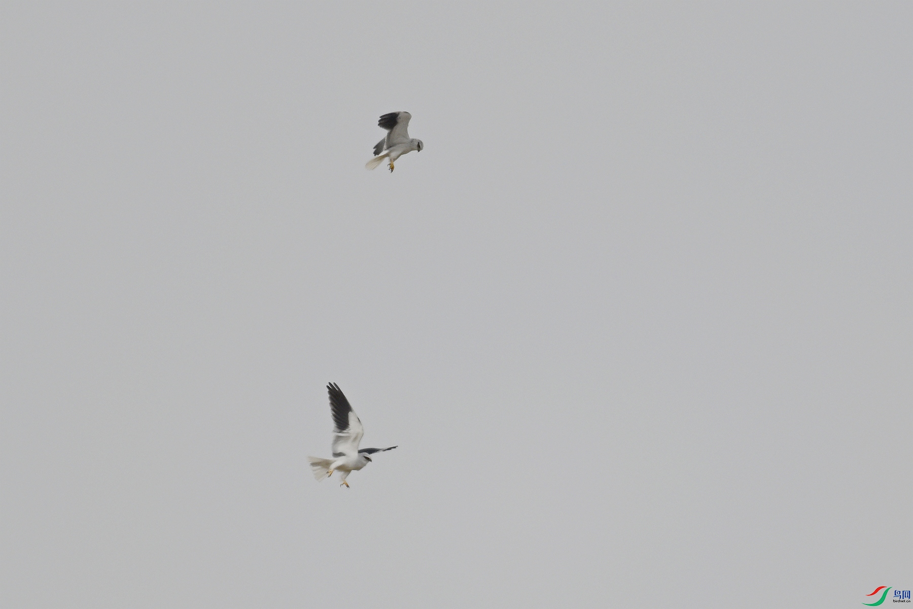 DSC_8113.JPG