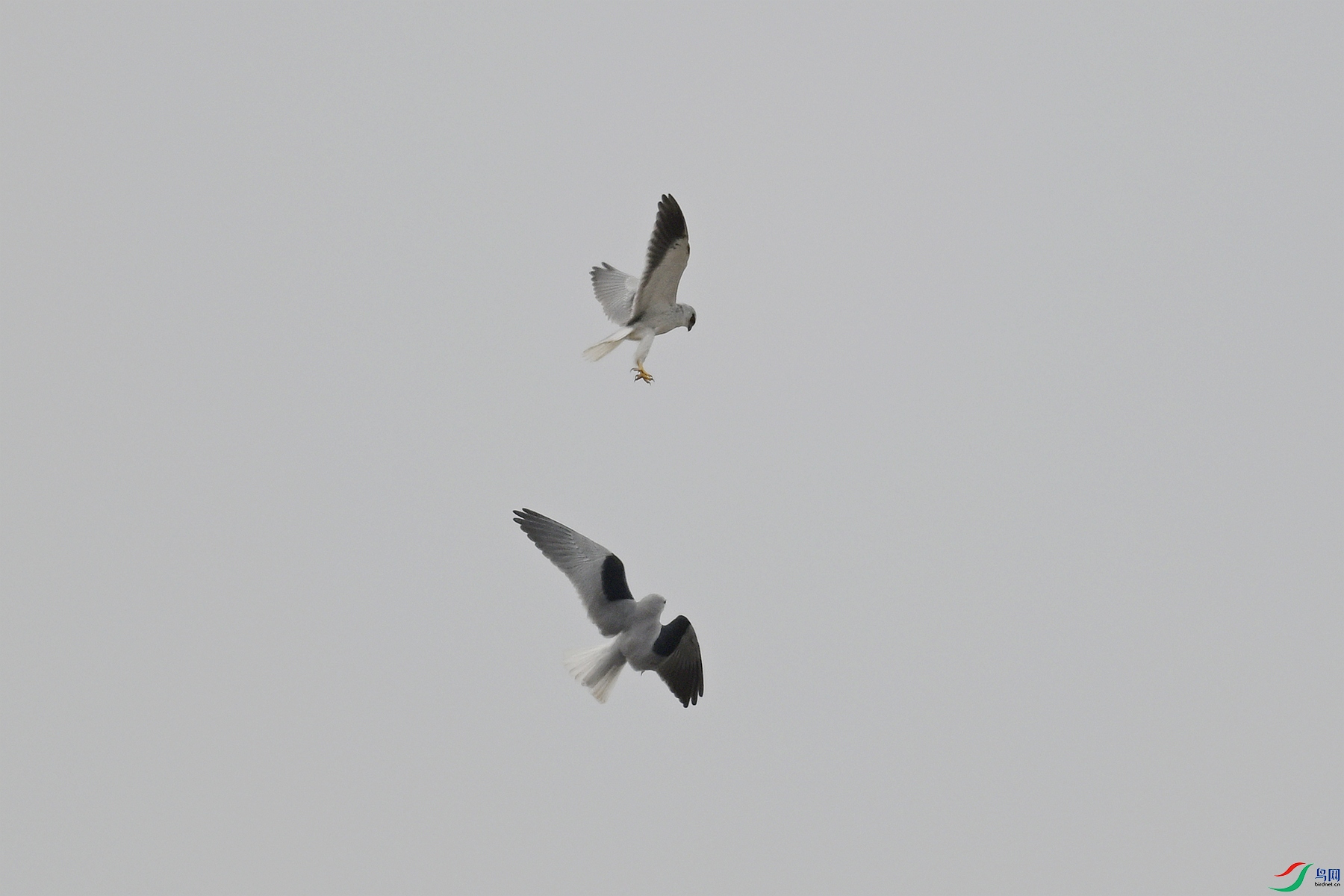 DSC_8107.JPG