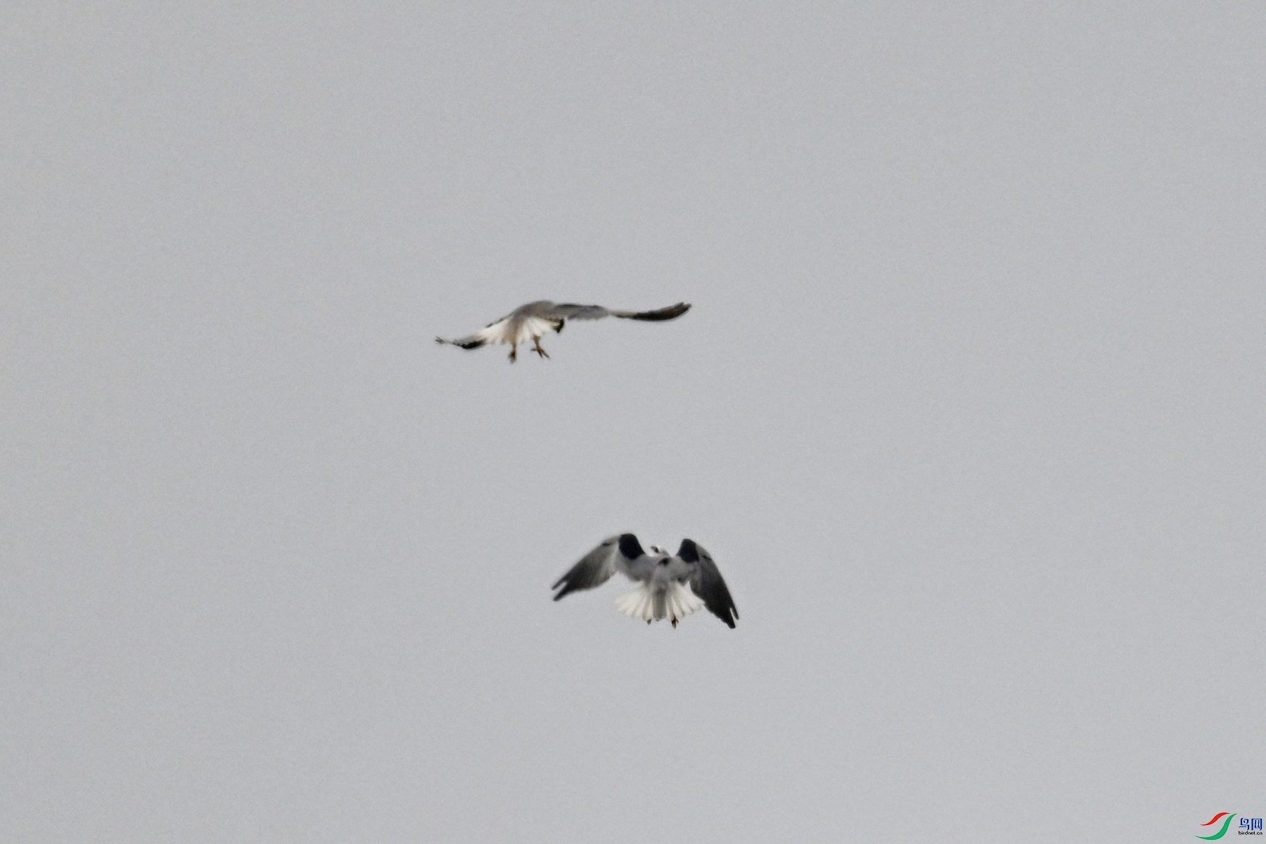 DSC_8120.JPG