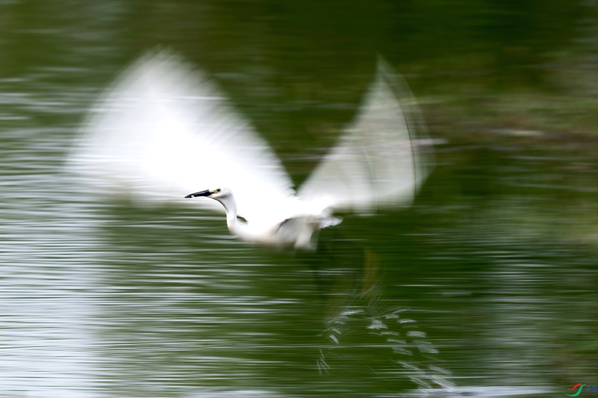 _DSC4360- ����.jpg