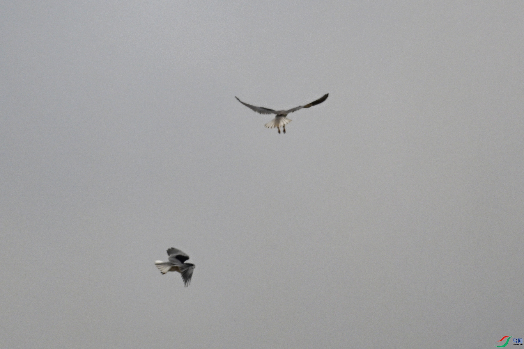 DSC_8130.JPG