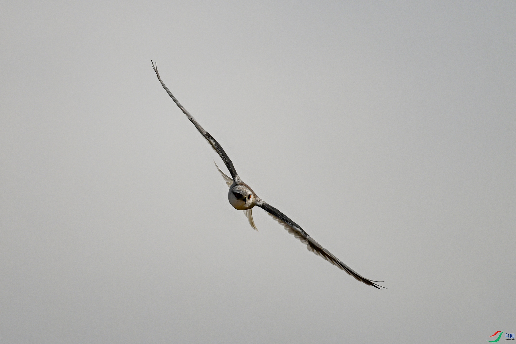 DSC_8141.JPG