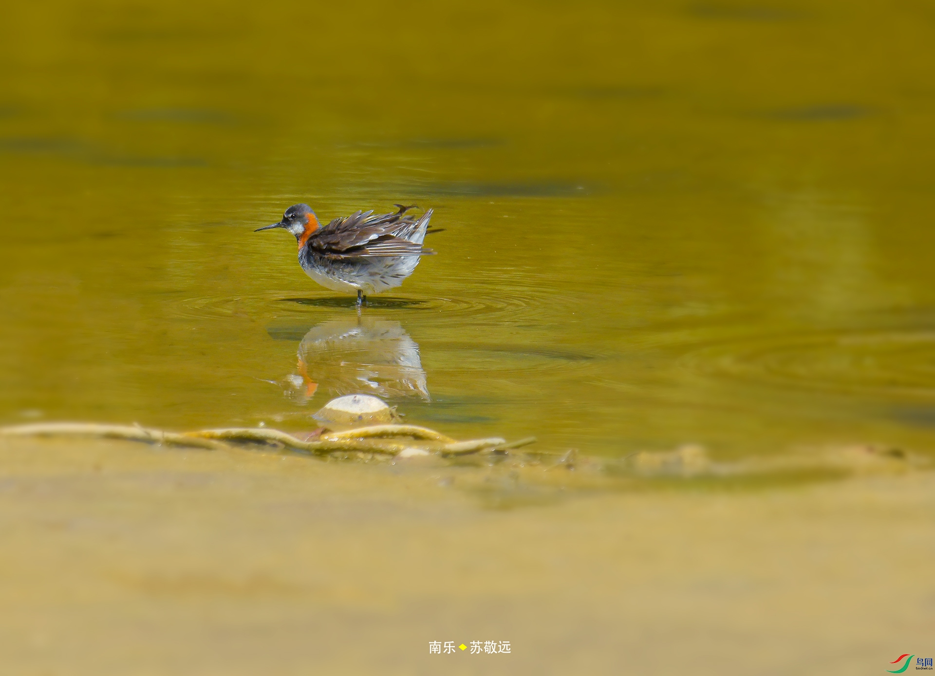 171���쾱������.jpg