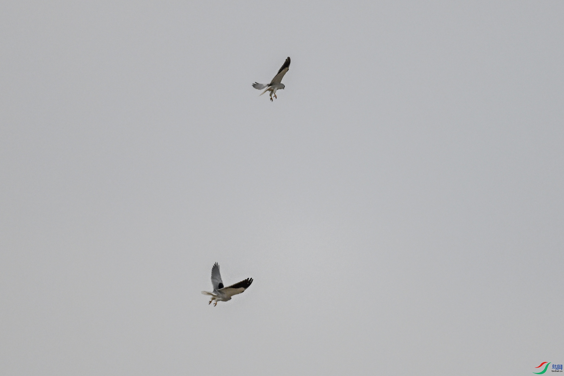 DSC_8119.JPG
