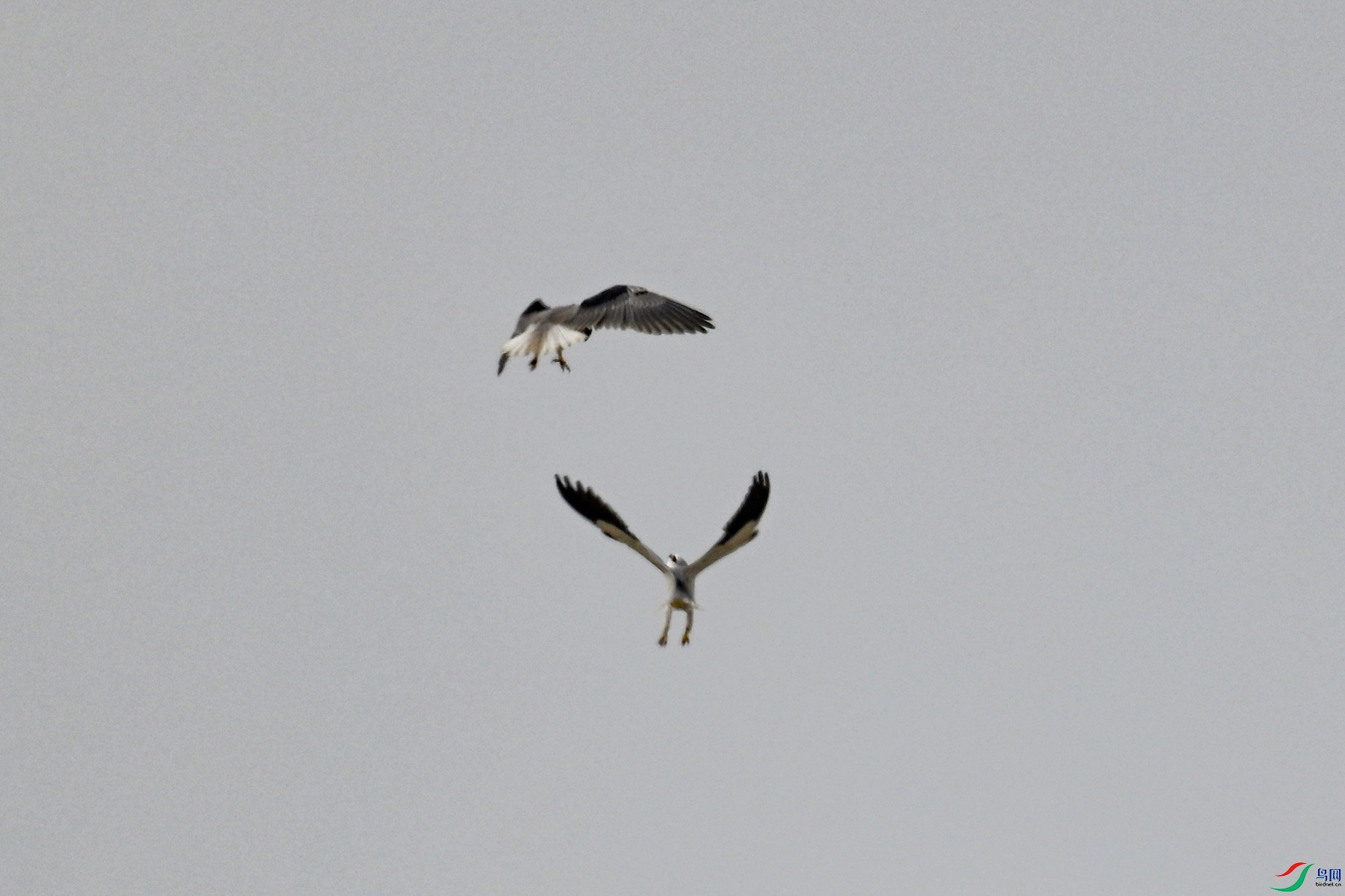 DSC_8121.JPG