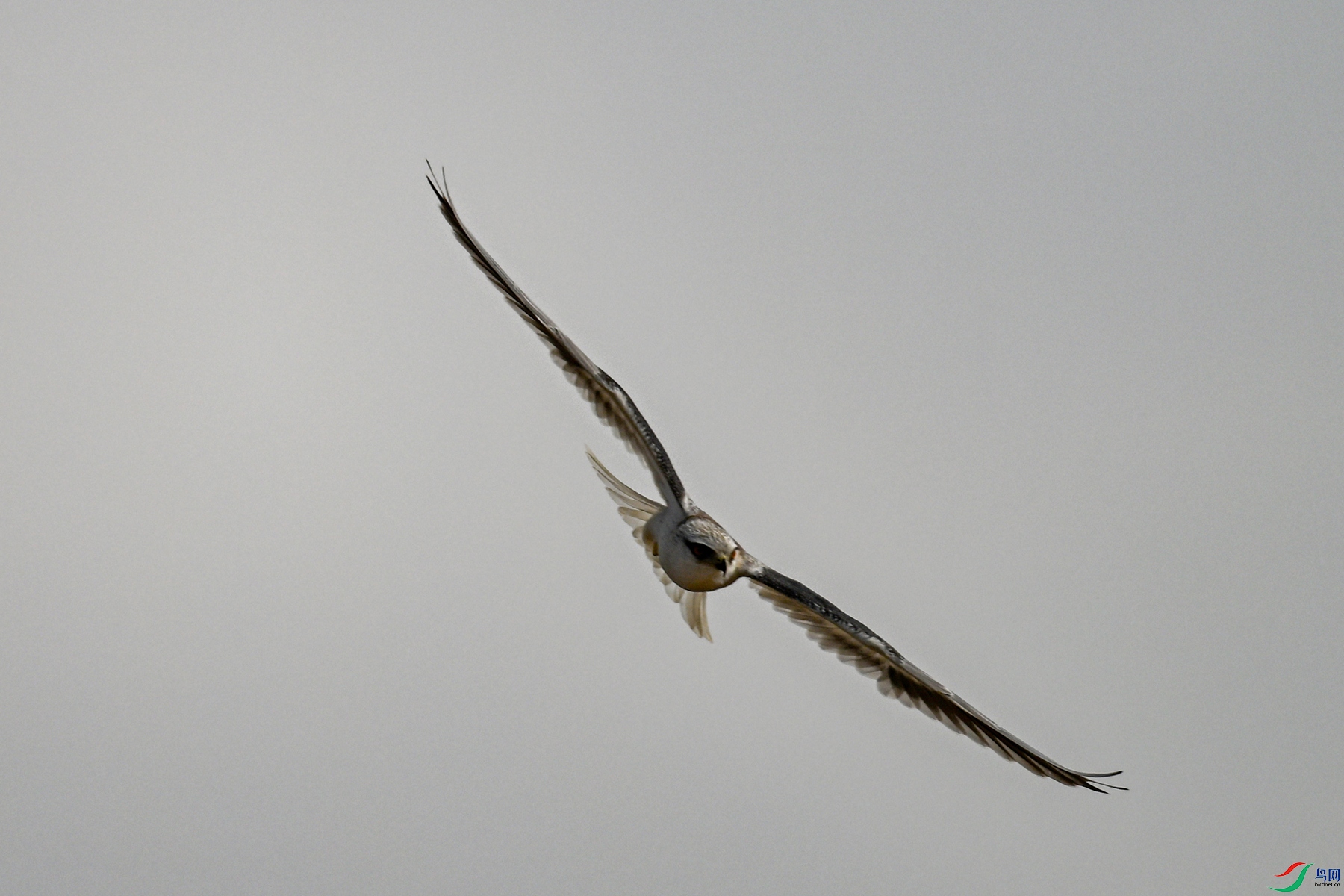 DSC_8143.JPG