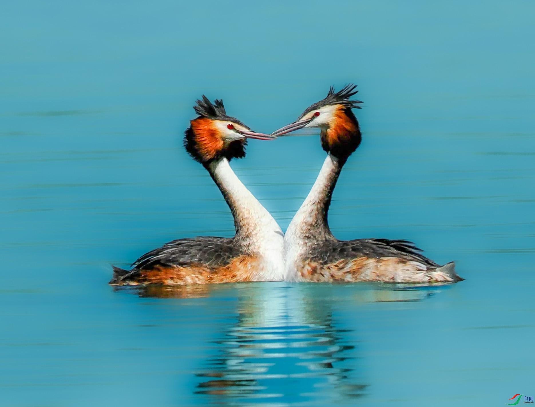 P4070829_���ٿ�ͼ(1).jpg
