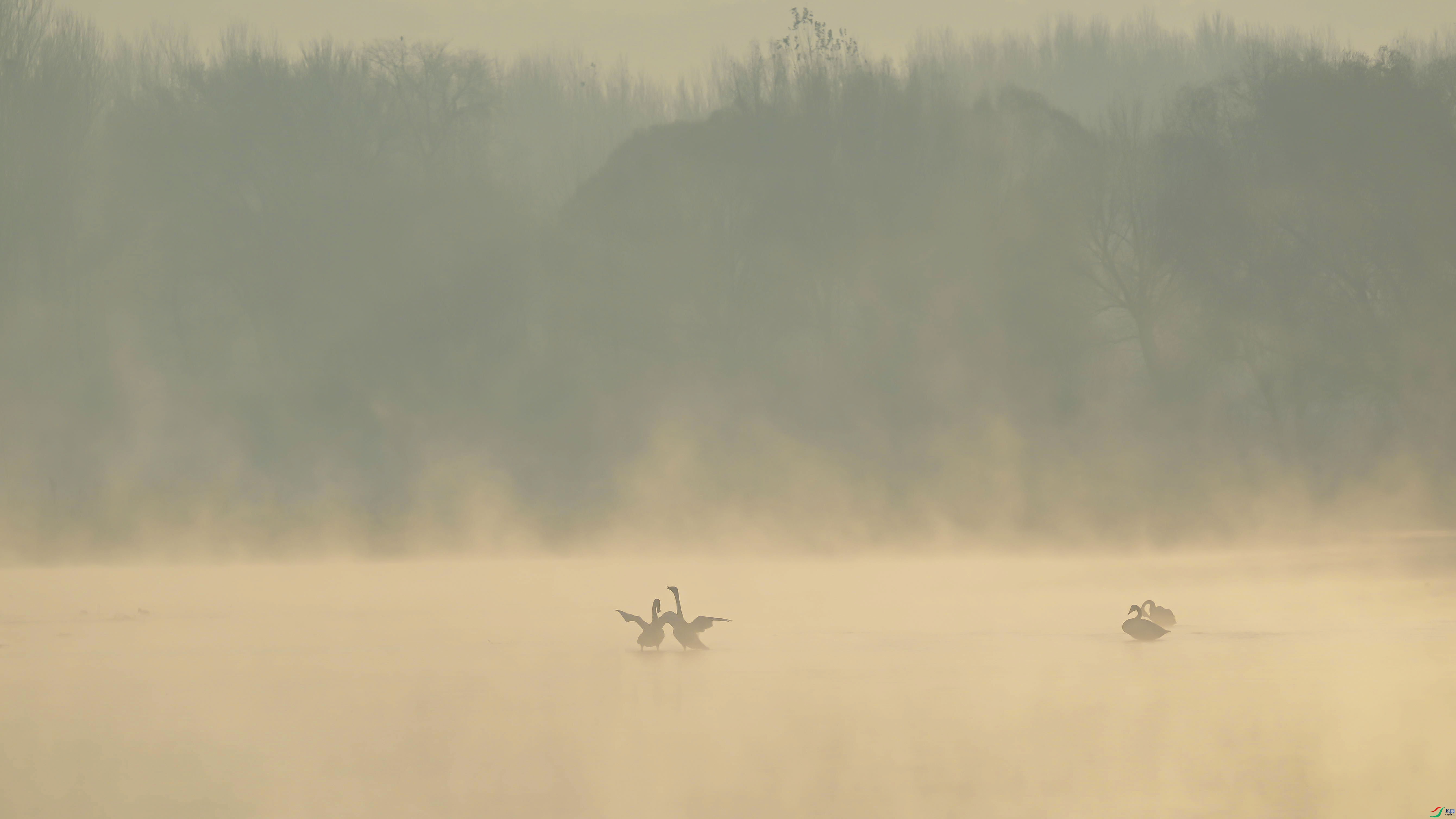 DSC_6709_����.jpg