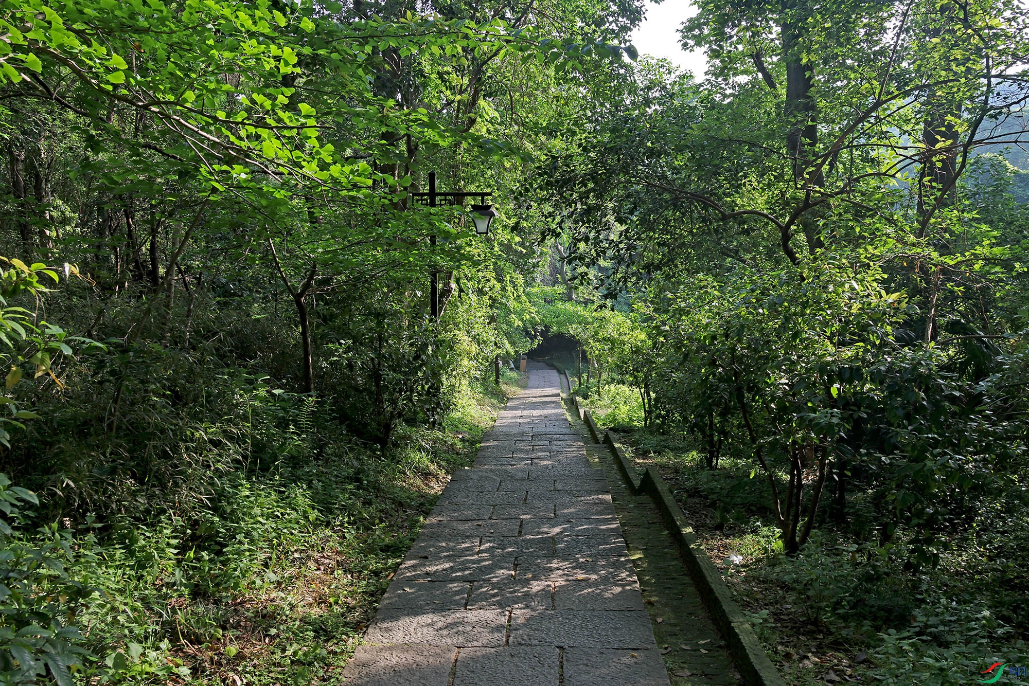 2G9A5850.JPG