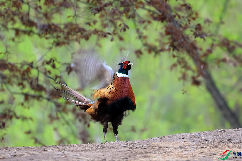 2E9A7390-5.jpg