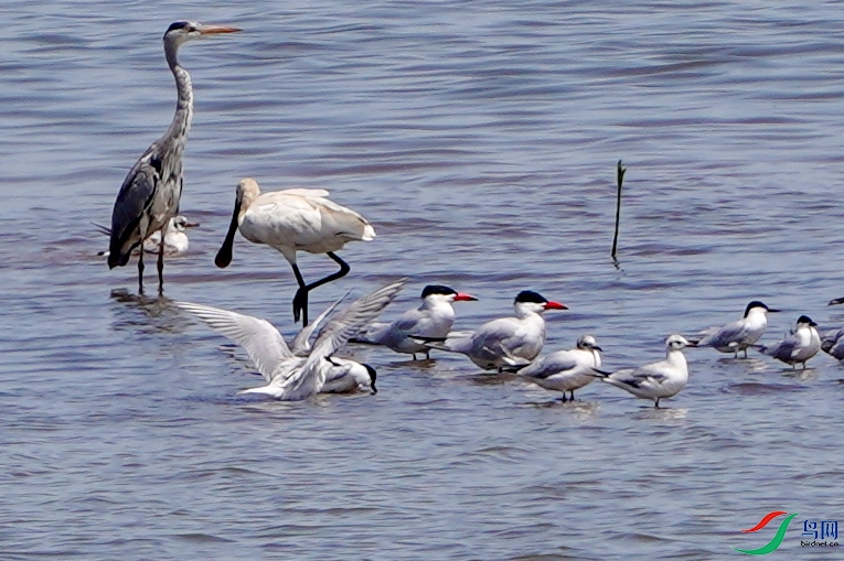 DSC03764-1.jpg