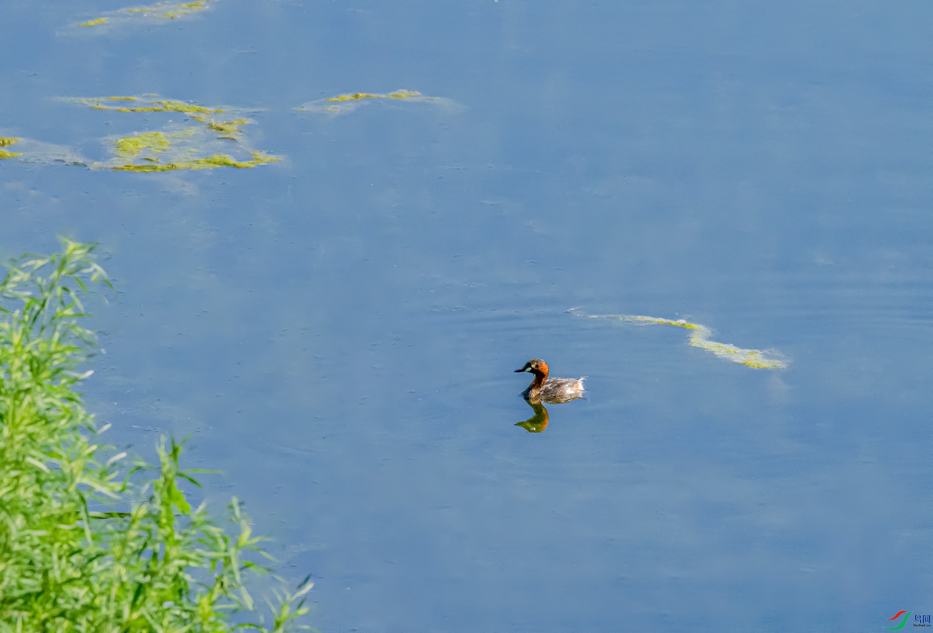 DSC_0143 (3)_��ͼ�� ����.jpg